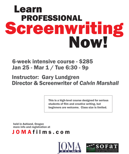 Professional Screenwriting Class – January 25th 2011